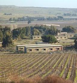 Will Biden reverse Trump’s recognition of Israeli sovereignty on the Golan Heights?