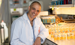 BGU’s Prof. Itzik Mizrahi and Colleagues Lead 5 Year International Coalition to Promote Environmentally Friendly Food Security Research Grants