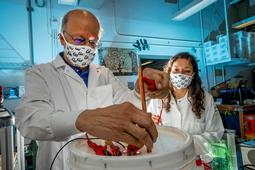 UC Berkeley’s Professor Ashok Gadgil is the inaugural recipient of the Zuckerberg Water Prize