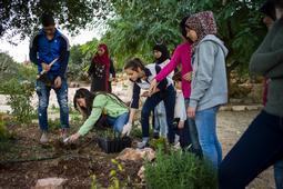 A New Spark for Learning