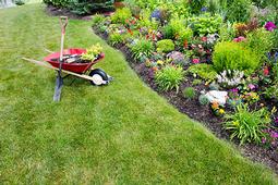 Winnipeg’s Modern Home Renos & Backyard Trends