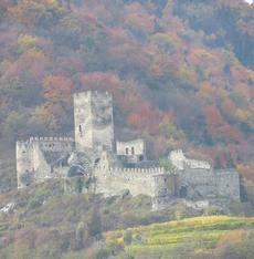 View of the fall colours from the River Cruise