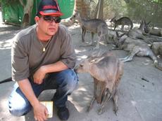 Eyal Dayan at Gan-Guro with kangaroos at Kibbutz Nir David