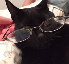 Zen really looks "brainy" in this photo