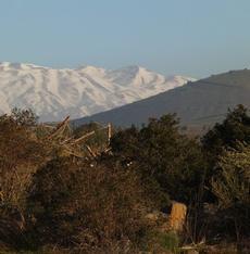 Golan Heights with Mount Hermon in the Background