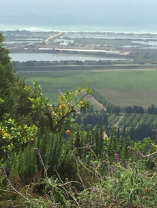 View of the coast from Zichron Yaacov