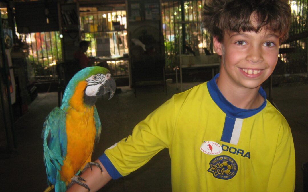 THE HISTORY BEHIND HATIKVA, ISRAEL’S NATIONAL ANTHEM